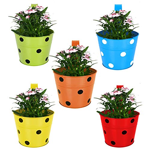 TrustBasket Set of 5 – Single Pot Railing Planter – Red,Yellow,Blue,Orange,Green