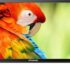 LG 108 cm (43 inch) Full HD LED Smart TV  (43LJ619V)